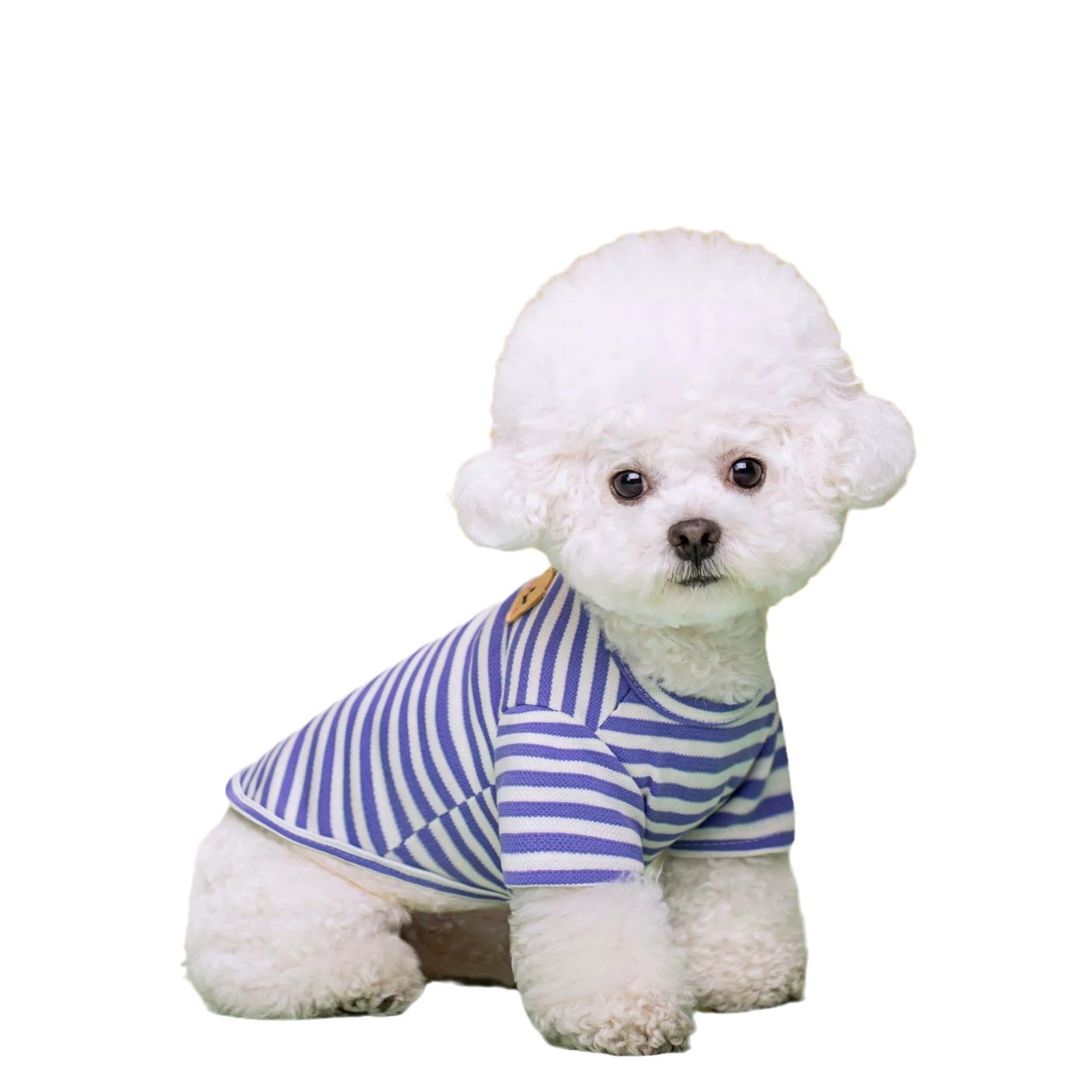 Why Your Pet Needs a Breathable Summer T-Shirt